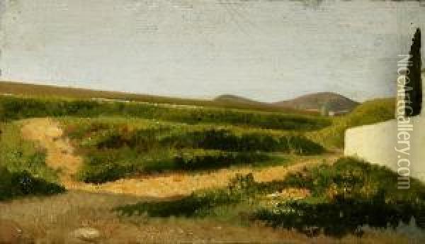 Il Muretto Bianco (castiglioncello) Oil Painting - D'Ancona Vito