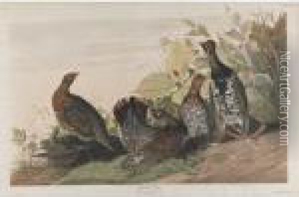 Spotted Grous Oil Painting - John James Audubon