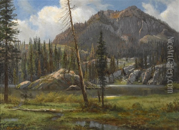 Southern Sierra Nevada Mountains Oil Painting - Albert Bierstadt