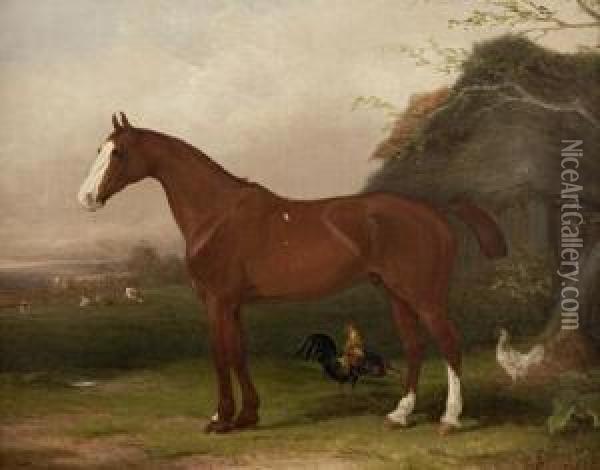 Hunter And Poultry Oil Painting - William Joseph Shayer