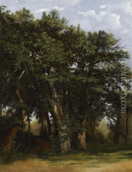 Groupe De Chenes (group Of Oak Trees) Oil Painting - Alexandre Calame