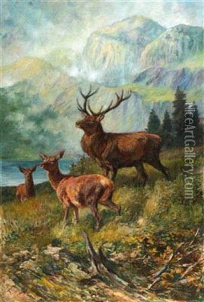 The Proud Stag Oil Painting - Franz Xaver von Pausinger