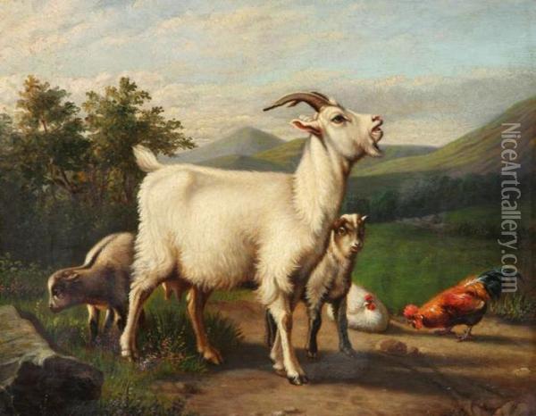 Bok, Schapen, Haan En Kippen In Landschap Oil Painting - D. Stevens