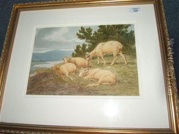 Sheep Resting On A Bank Overlooking A Lake Oil Painting - Robert Hills