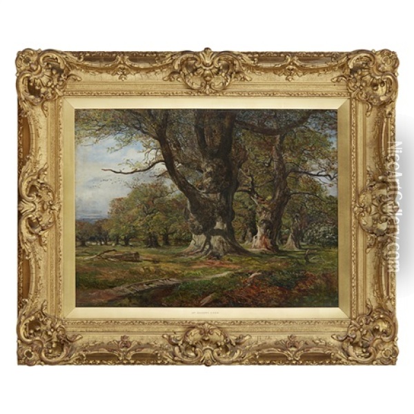Sheep In An Oak Woodland Oil Painting - James Docharty