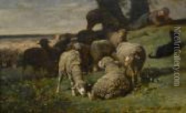 Flock Of Grazing Sheep Oil Painting - Charles Emile Jacque