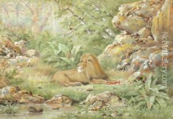 Lion Couche Oil Painting - Henri Langerock