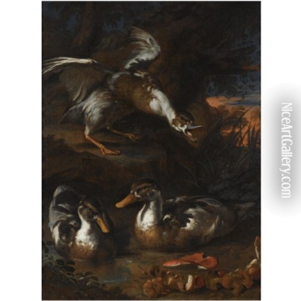 Three Ducks In A Wooded Landscape, Wild Mushrooms In The Foreground Oil Painting - Angelo Maria Rossi