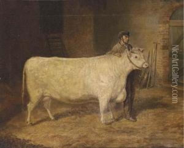 Purity, A Prize Cow Oil Painting - Joseph Francis Walker