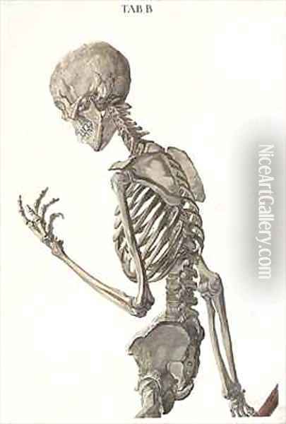Bones of the skeleton from Tabulae Osteologicae Oil Painting - Eisenberger, Nikolaus Friedrich