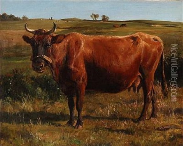 A Red Cow In The Field Oil Painting - Otto Bache