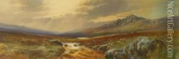 Dartmoor Scene Withcattle Oil Painting - John Shapland