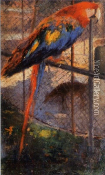 Papagei Im Zoo Oil Painting - Karoly (Karl) Pongracz von Szentmiklos
