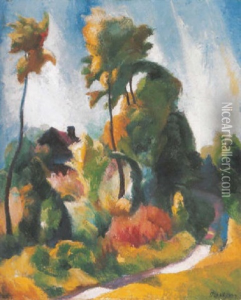 Nagybanyai Taj (landscape In Nagybanya) Oil Painting - Karoly Patko