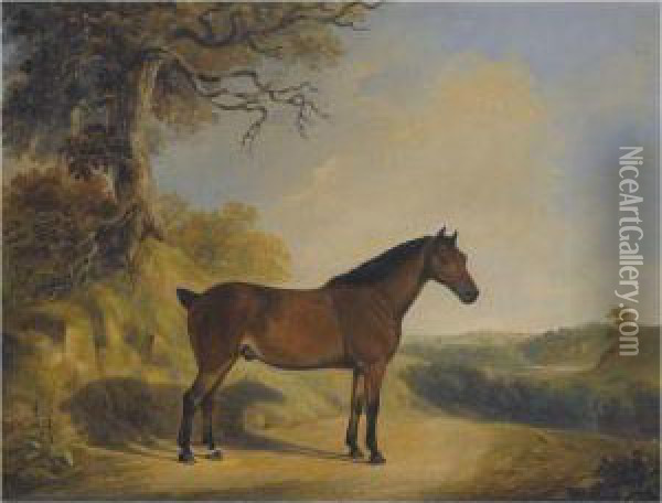 A Pony In A Landscape Oil Painting - William Barraud