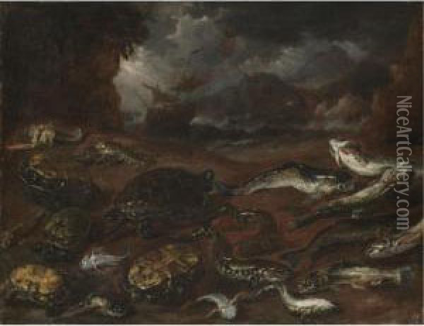 A Still Life Of Turtles, An Eel,
 Pike, Lobsters And Other Fish On The Shore, A Ship In Stormy Seas 
Beyond Oil Painting - Peeter Boel