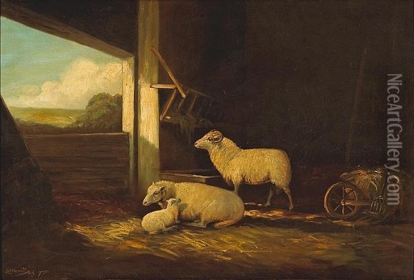Barnyard Sheep Oil Painting - Carl Oscar Borg