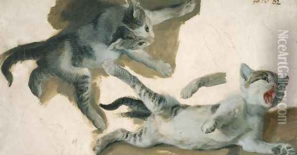 Sketches of a Kitten Oil Painting - Alexandre-Francois Desportes