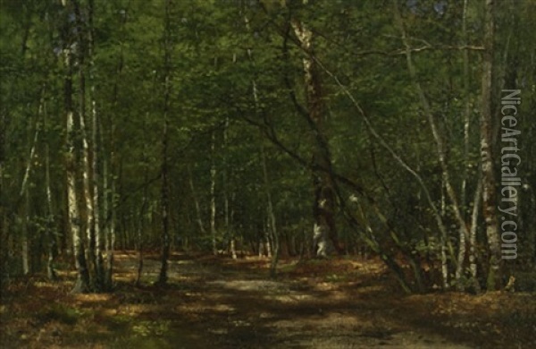 Sonnenbeschienener Birkenwald Bei Misdroy Oil Painting - Karl Bennewitz von Loefen the Elder