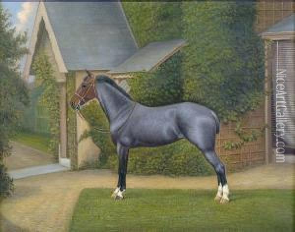 Grey Hunter, Standing Four Square With Bridle Before A House Oil Painting - William Albert Clark