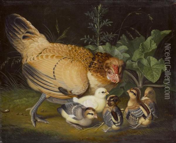 Perlhuhn Mit Kucken Oil Painting - Jacob Samuel Beck