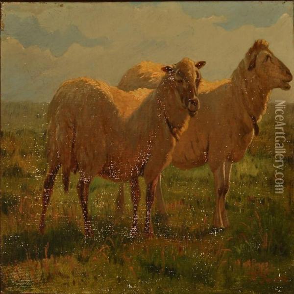 Two Grazing Sheep Oil Painting - Hans Ludvig Smidth