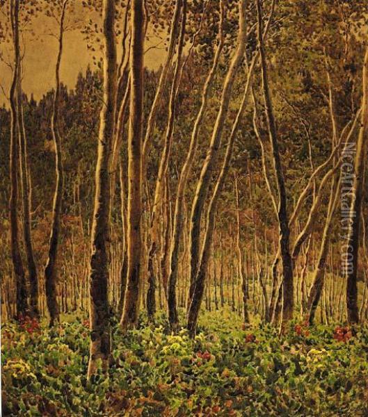 Sunlit Birches Oil Painting - Gunnar M. Widforss