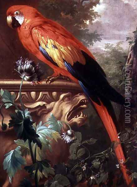 Scarlet Macaw in a Landscape Oil Painting - Jakab Bogdany