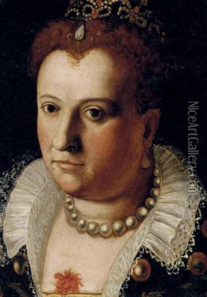 Portrait Of A Noblewoman Oil Painting - Bernardino Campi