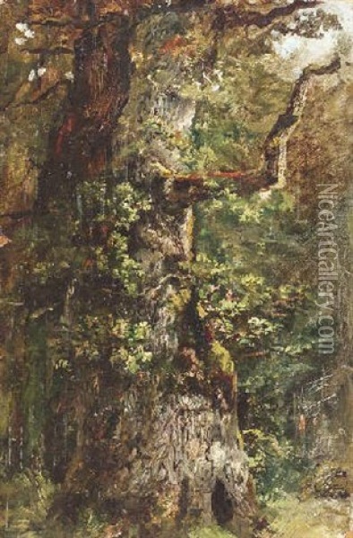 Alte Eiche Im Wald Oil Painting - Albert Kappis