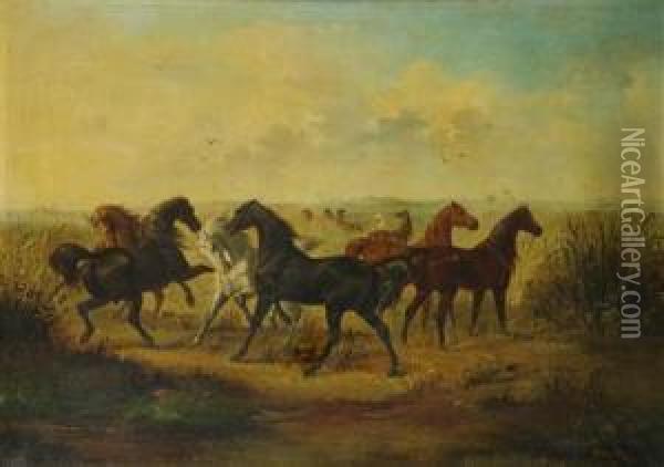 A Herd Of Horses Oil Painting - Josef Mathauser