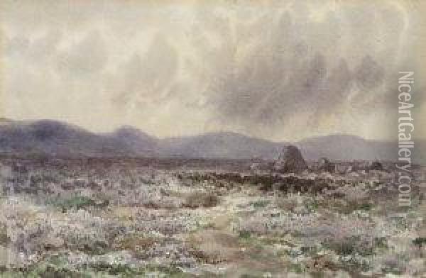Turf Stacks & Bogland, Connemara Oil Painting - William Percy French
