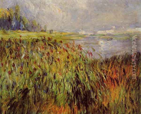 Bulrushes On The Banks Of The Seine Oil Painting - Pierre Auguste Renoir