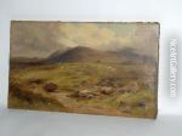 Sheep In Moorland Oil Painting - John Syer