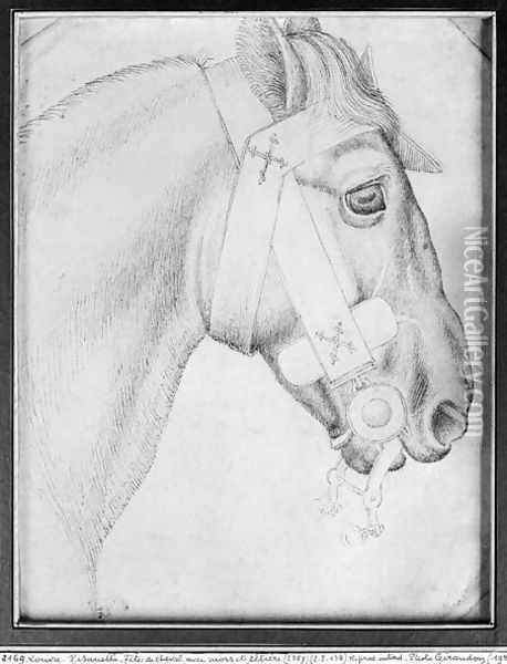 Head of a horse, from the The Vallardi Album 3 Oil Painting - Antonio Pisano (Pisanello)