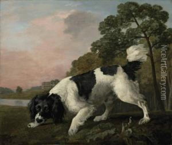 A Black And White Spaniel Following A Scent, In A Landscape Oil Painting - George Stubbs