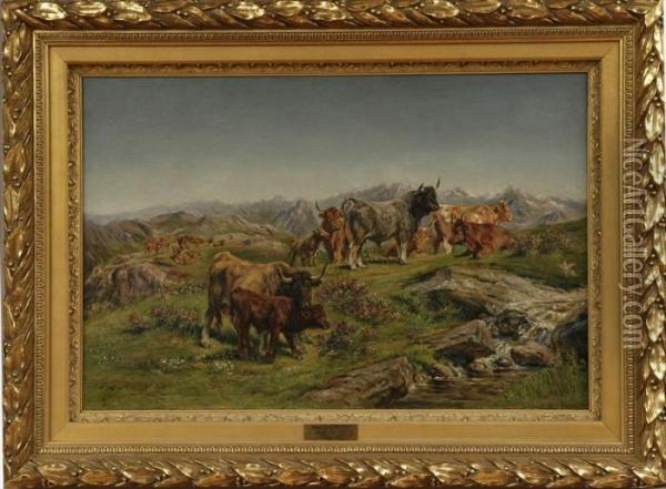 Cattle In The Highlands Oil Painting - Rosa Bonheur