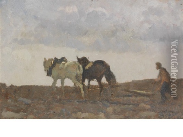 Ploughing Oil Painting - Beppe Ciardi