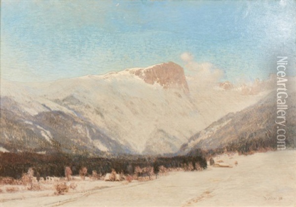Winter Am Hochschwab Oil Painting - Thomas Leitner