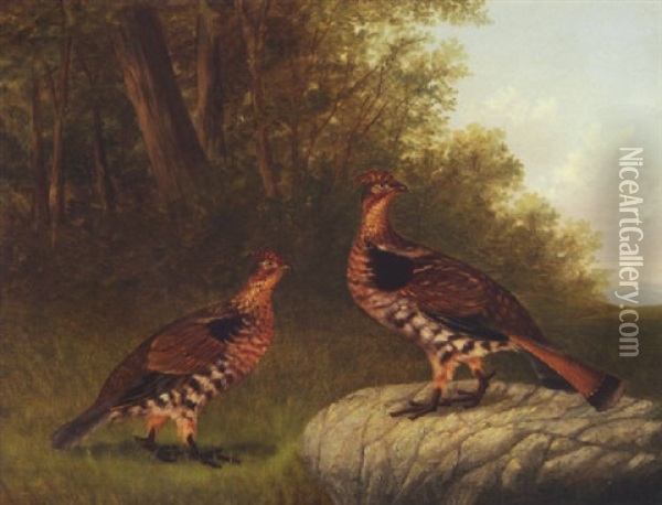 Pair Of Partridges Oil Painting - Howard L. Hill