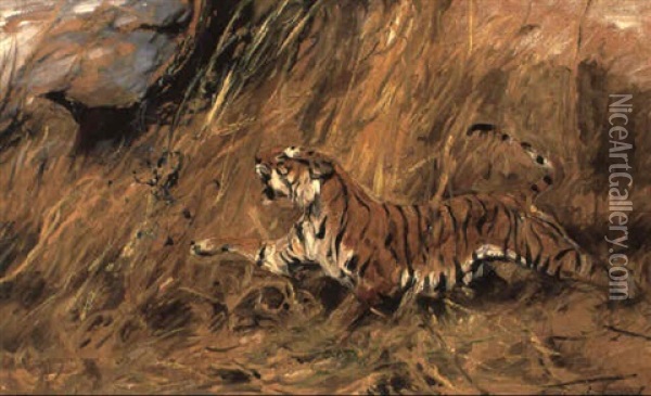 Tiger And Peacock Oil Painting - Wilhelm Friedrich Kuhnert
