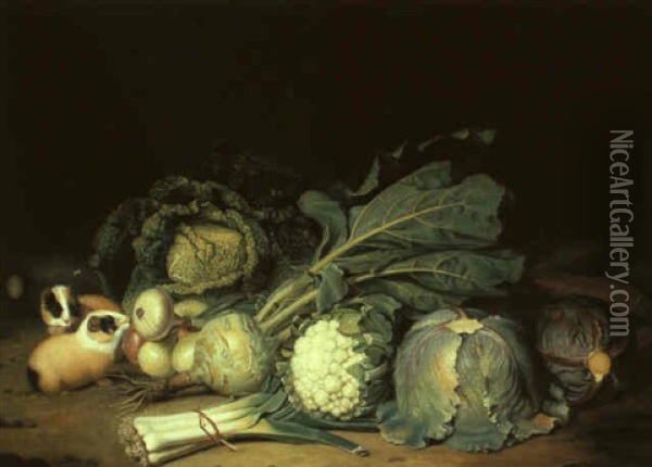 Gem_sestilleben Mit Zwei Meerschweinchen Oil Painting - Jacob Samuel Beck