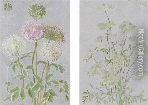 Allium Oil Painting - Adele Herter