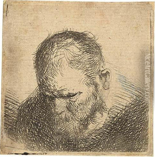 Small Bust Of A Bearded Man Looking Down Oil Painting - Rembrandt Van Rijn