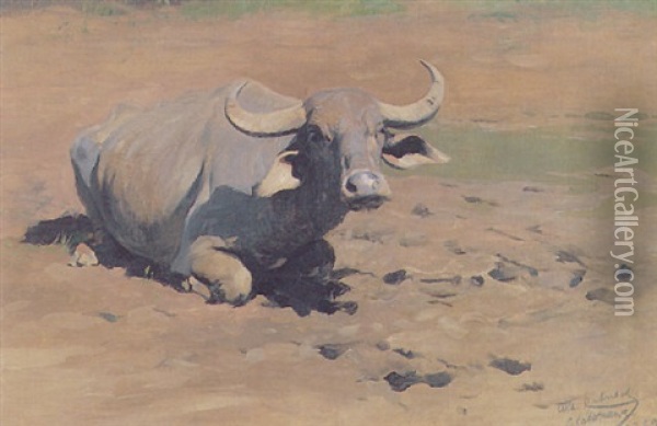 Buffalo Resting Oil Painting - Wilhelm Friedrich Kuhnert