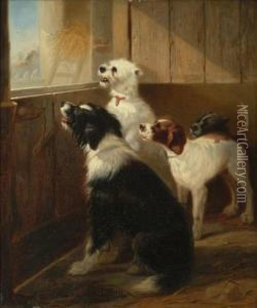 A Group Of Dogs In A Stable Interior Oil Painting - Zacharias Noterman