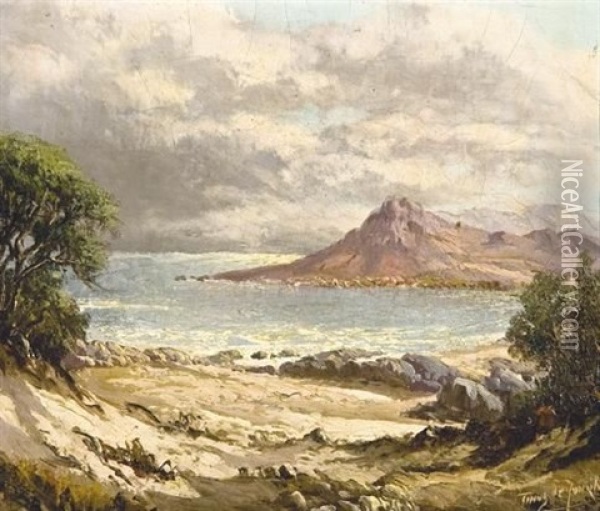 Gordon's Bay, Cape Oil Painting - Tinus de Jongh