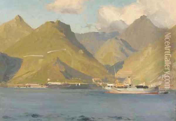 Santa Cruz harbour, Tenerife Oil Painting - John Fraser