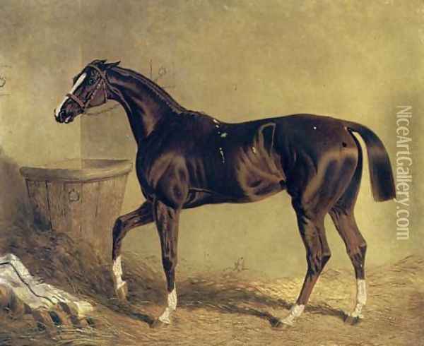 Camarine a Chestnut Racehorse in Stable Oil Painting - John Frederick Herring Snr