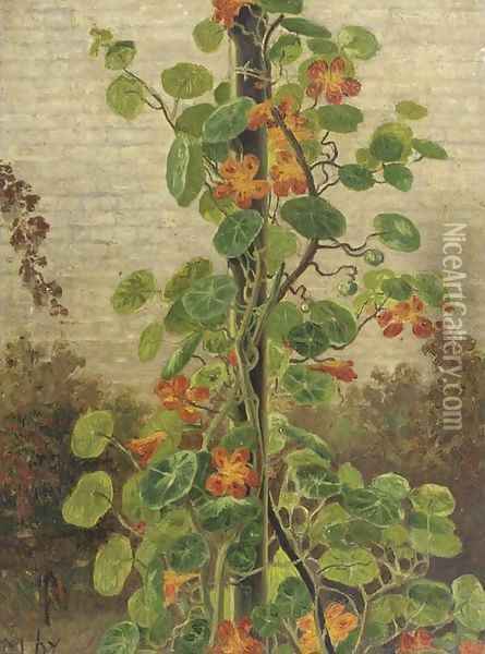 Flowering Oostindische kers Oil Painting - Hendrik Willem Mesdag